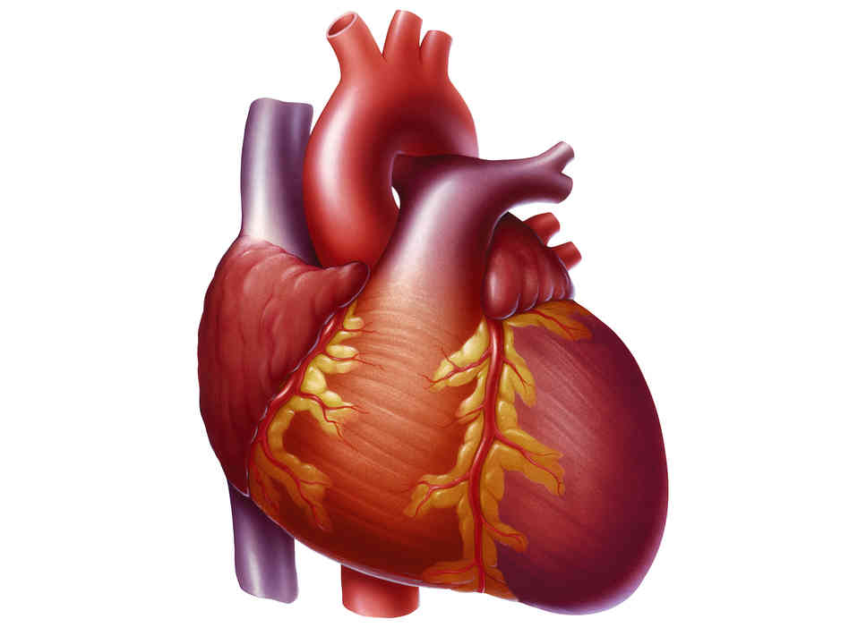 heart problem medicine